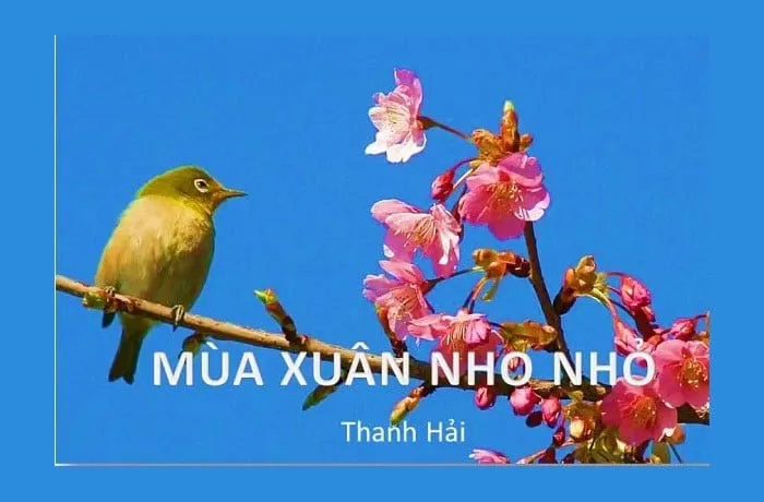 Phân tích bài thơ “Mùa xuân nho nhỏ” của Thanh Hải