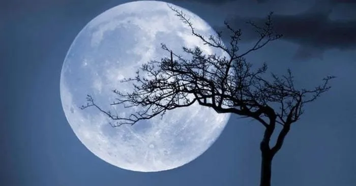 Vẻ đẹp của trăng tròn đang soi sáng