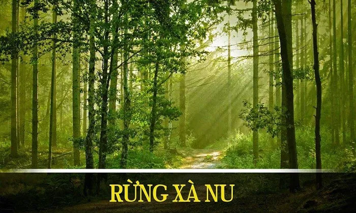 Truyện “Rừng Xà Nu” là kiệt tác xuất sắc của Nguyễn Trung Thành 