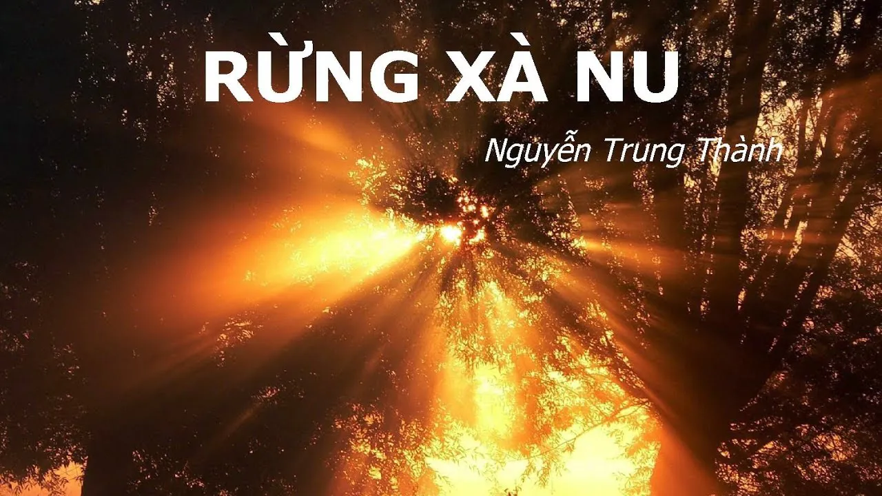 Phân tích rừng xà nu của nhà văn Nguyễn Trung Thành – Văn mẫu chuẩn 2021