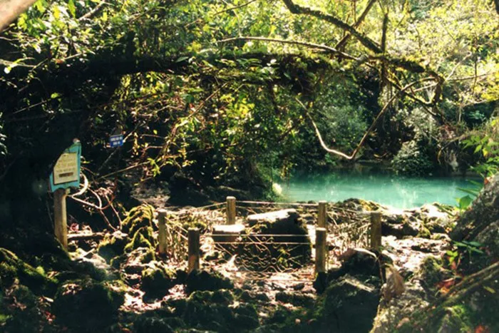 Hang Pác Bó, nơi Bác sống hòa mình cùng thiên nhiên, núi rừng
