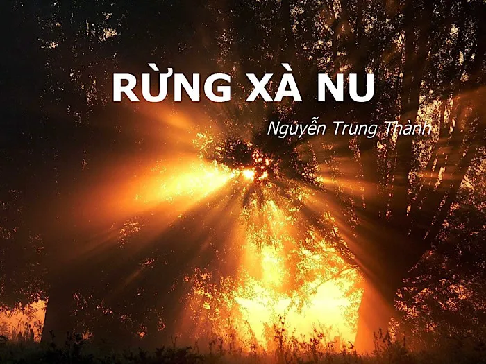 Văn mẫu cho học sinh tham khảo Phân tích hình tượng Tnú trong Rừng xà nu