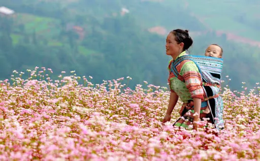 Văn mẫu lớp 9 – Phân tích khúc hát ru những em bé lớn trên lưng mẹ