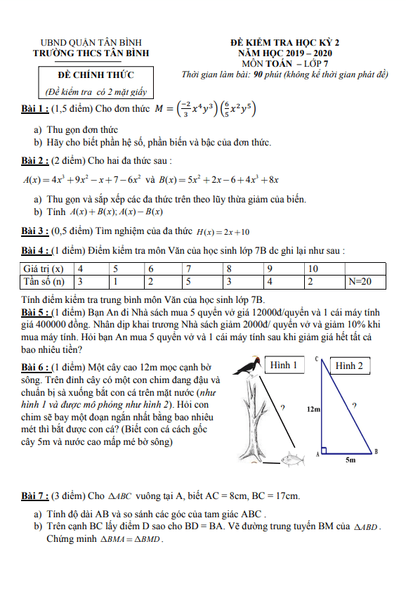 Đề kiểm tra học kỳ 2 Toán 7 năm 2019 – 2020 trường THCS Tân Bình – TP HCM