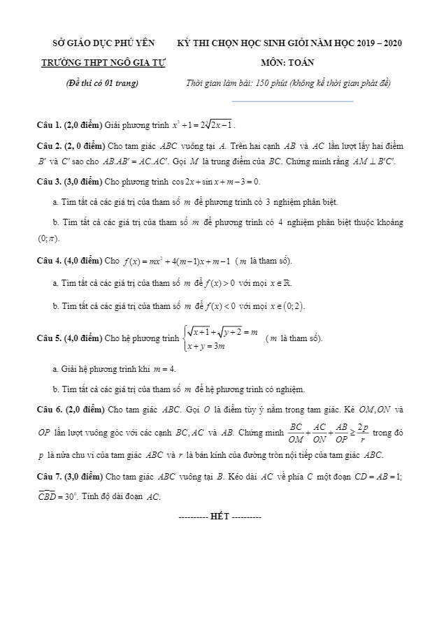 Đề thi chọn HSG Toán năm 2019 – 2020 trường THPT Ngô Gia Tự – Phú Yên