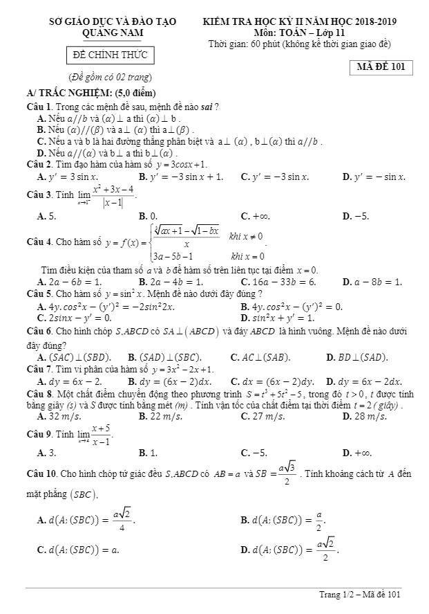 Đề thi HK2 Toán 11 năm học 2018 – 2019 sở GD và ĐT Quảng Nam