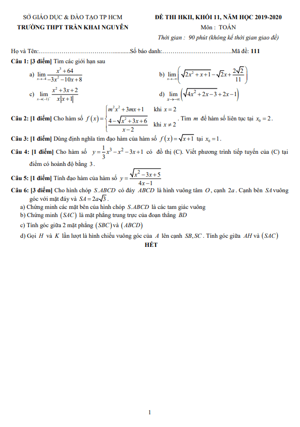 Đề thi học kì 2 Toán 11 năm 2019 – 2020 trường THPT Trần Khai Nguyên – TP HCM