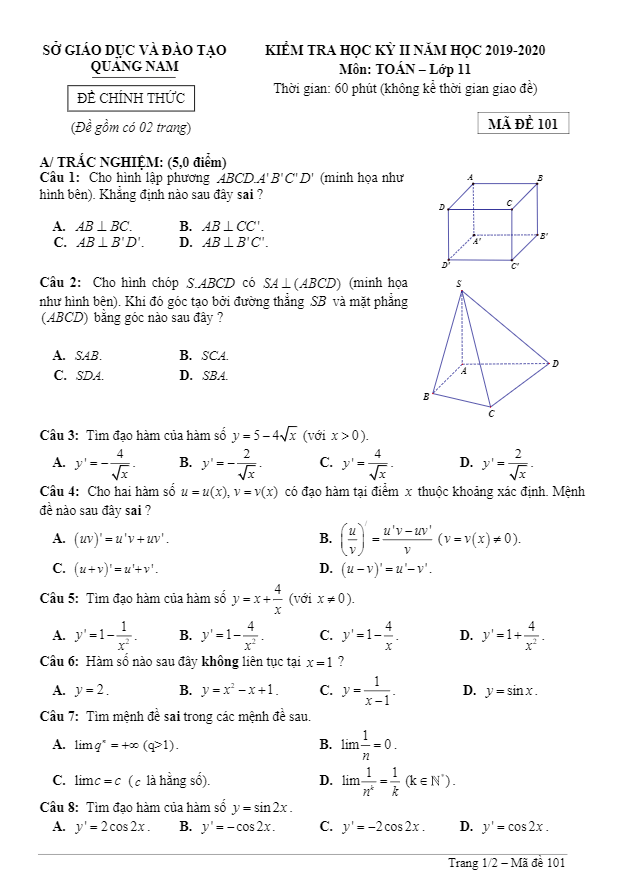 Đề thi học kỳ 2 Toán 11 năm học 2019 – 2020 sở GD&ĐT Quảng Nam